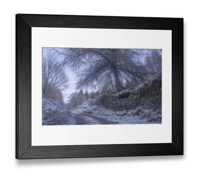 Framed Print : Winter track