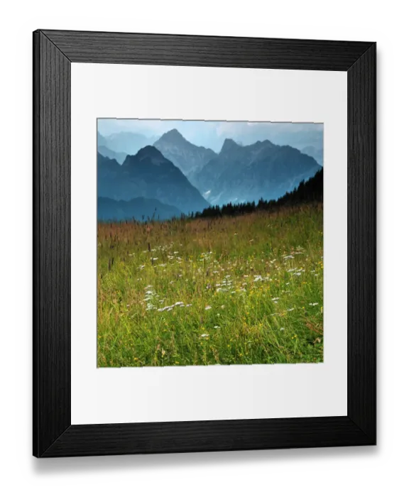 Framed Print : Alpine meadow Framed Print : Alpine meadow