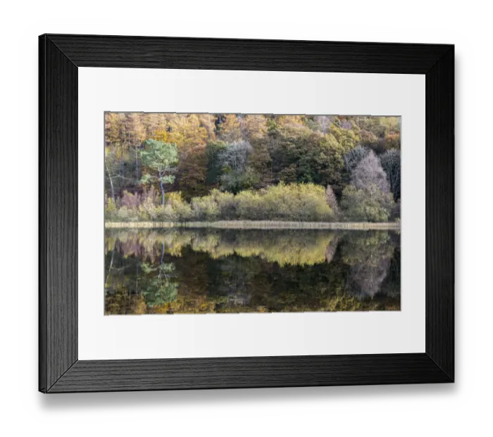Framed Print : Autumn reflections