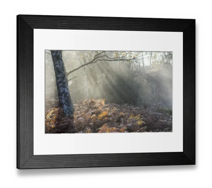Framed Print : Autumn mist Framed Print : Autumn mist