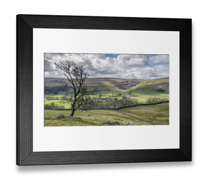 Framed Print : Arncliffe Tree Framed Print : Arncliffe Tree