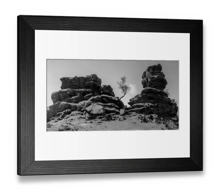 Framed Print : Lone tree, Brimham Rocks Framed Print : Lone tree, Brimham Rocks