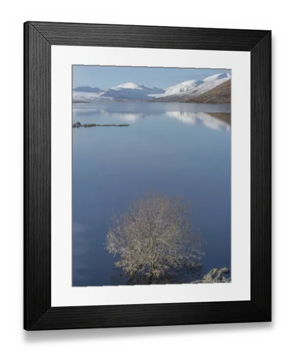 Framed Print : Blue loch. Scottish Loch with tree and reflections of snowy mountains Framed Print : Blue loch. Scottish Loch with tree and reflections of snowy mountains