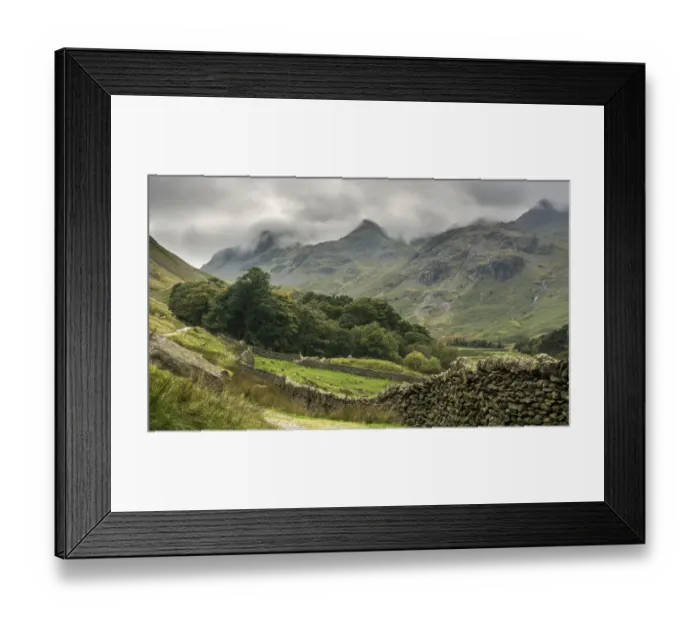 Framed Print : The track through Grizedale Framed Print : The track through Grizedale