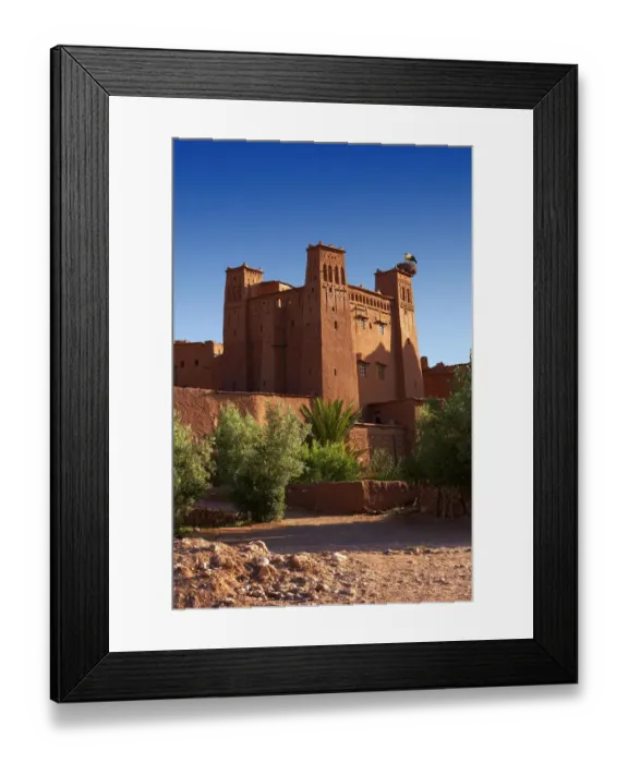 Framed Print : architectural style, attraction, bird photography, blue sky, building, ciconiidae
