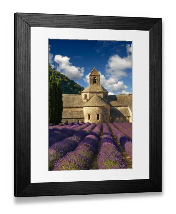 Framed Print : abbaye notre-dame de senanque, acreage, blossoming, building, common lavender, cultivate
