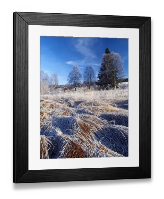 Framed Print : bohemian, cold, coldness, cool, coolness, countryside, czech, daylight, daytime, eastern Framed Print : bohemian, cold, coldness, cool, coolness, countryside, czech, daylight, daytime, eastern
