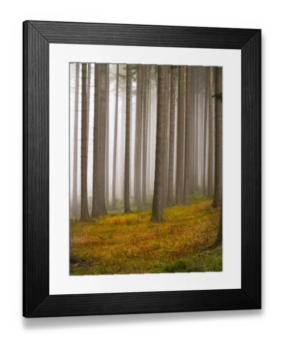Framed Print : autumnal, autumnally, bohemian, colours, czech, daylight, daytime, eastern, european Framed Print : autumnal, autumnally, bohemian, colours, czech, daylight, daytime, eastern, european