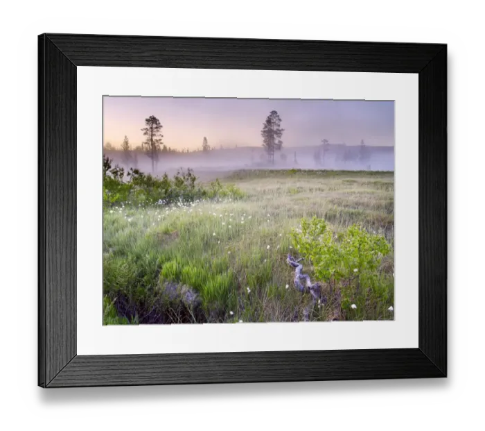 Framed Print : area, conservation, countryside, daylight, daytime, european, exterior, exteriors