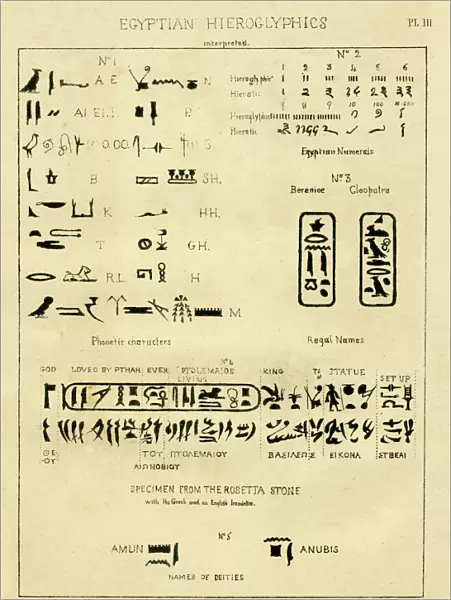 Palaeography Egyptian hieroglyphics interpreted