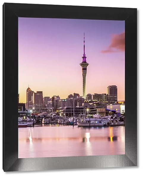Auckland financial district and harbour at dawn, New Zealand