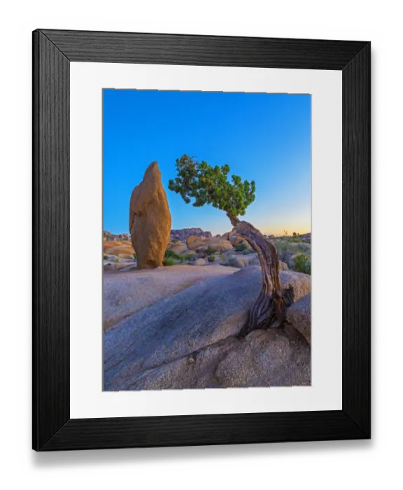 Framed Print : Joshua Tree National Park, California Framed Print : Joshua Tree National Park, California
