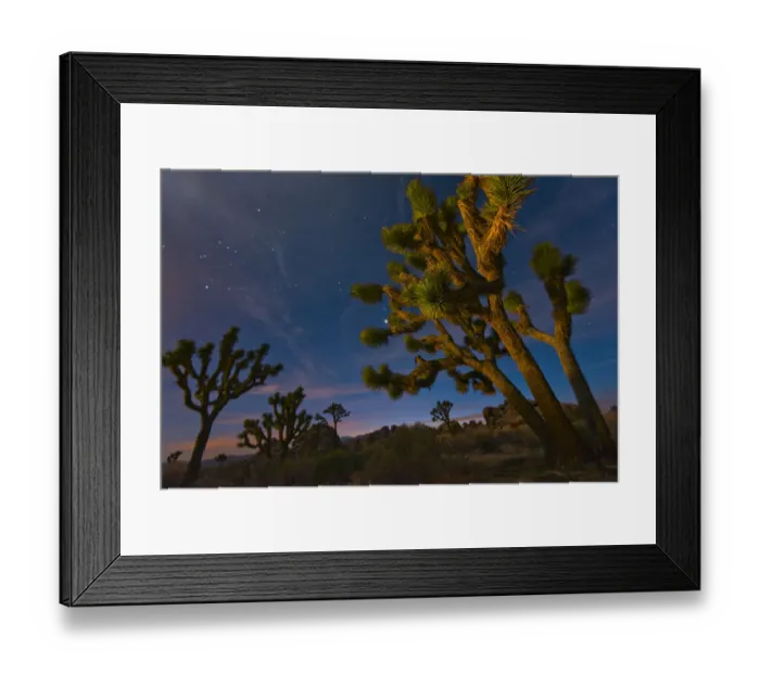 Framed Print : desert, sky, sunset, joshua tree, scenic, evening, silhouette, landscape, tree, travel