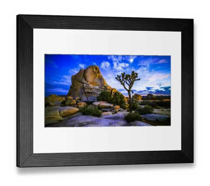 Framed Print : Joshua Tree Framed Print : Joshua Tree