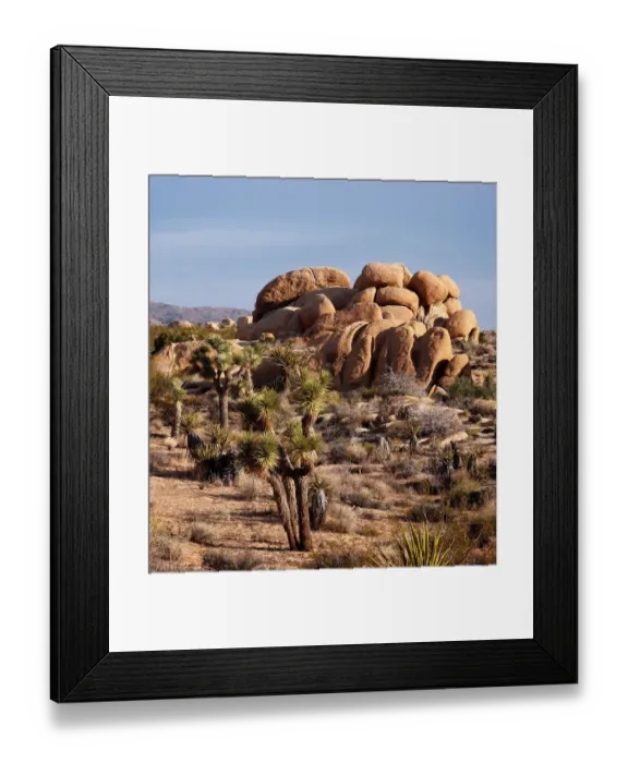 Framed Print : Typical Mojave desert scenery of Joshua Tree Framed Print : Typical Mojave desert scenery of Joshua Tree