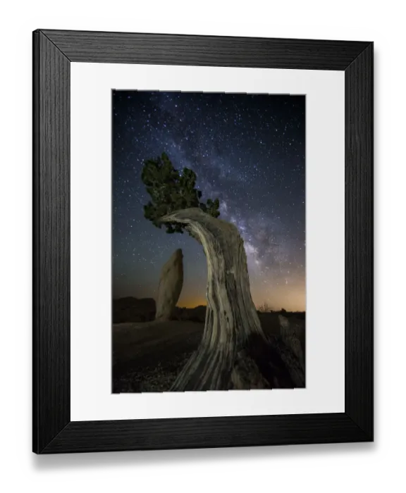 Framed Print : Juniper tree under milky way Framed Print : Juniper tree under milky way