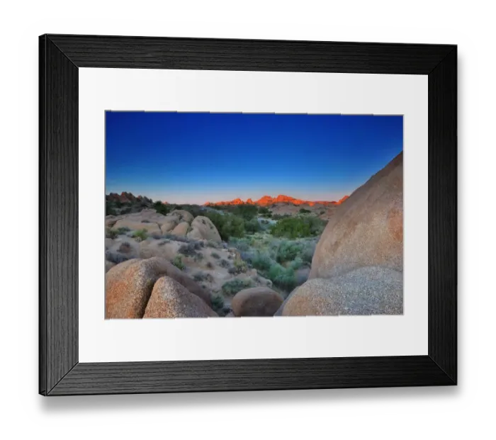 Framed Print : Joshua Tree National Park Framed Print : Joshua Tree National Park