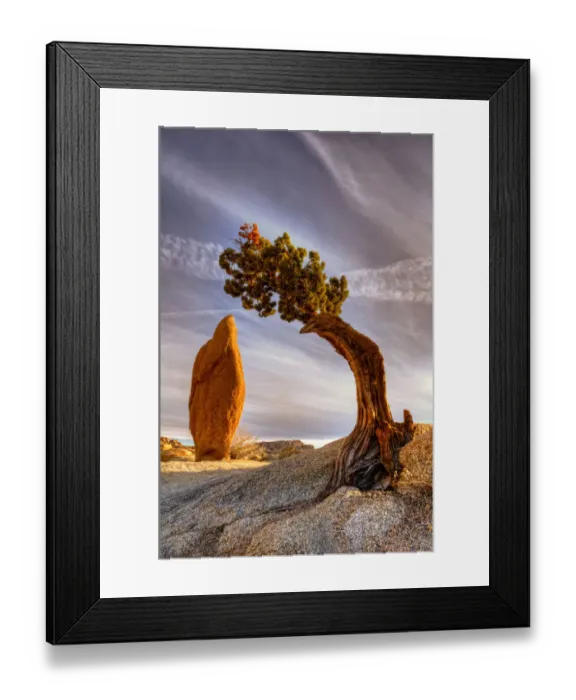 Framed Print : Balance rock and bonzai tree