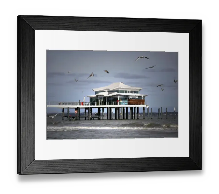 Framed Print : gastronomy, laridae, natural environment, rural, seabird, summery, tavern, teahouse Framed Print : gastronomy, laridae, natural environment, rural, seabird, summery, tavern, teahouse