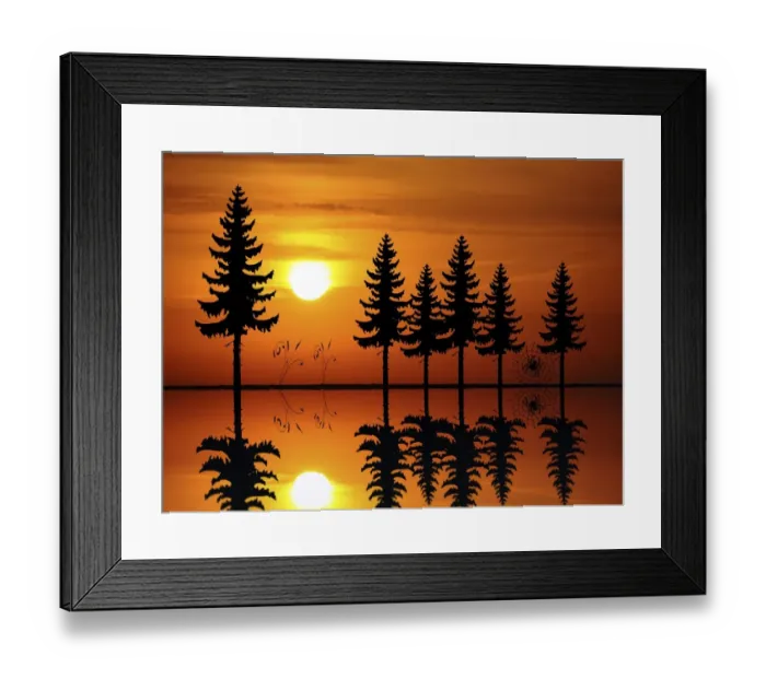 Framed Print : abies, afterglow, atmospheric, backlit, cobweb, evening light, evenings, graphic