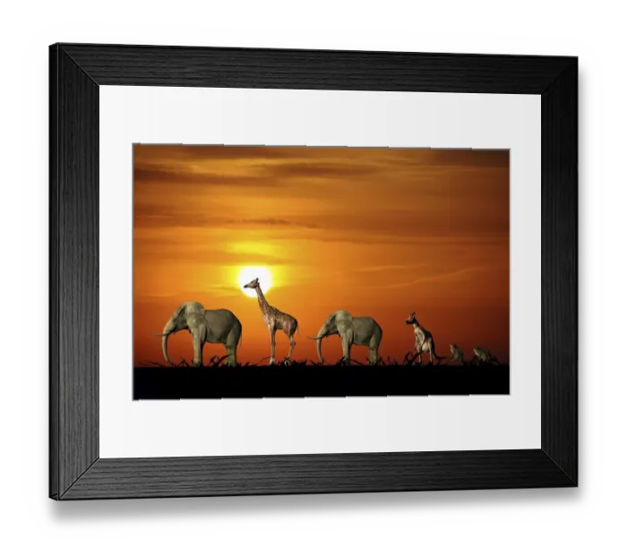 Framed Print : afterglow, atmospheric, backlit, caravan, evening light, evenings, graphic, group Framed Print : afterglow, atmospheric, backlit, caravan, evening light, evenings, graphic, group