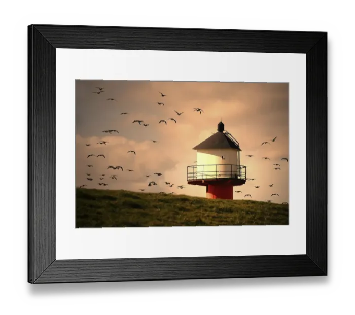 Framed Print : anser anser, atmospheric, coast, cropped, evening light, evenings, exterior views Framed Print : anser anser, atmospheric, coast, cropped, evening light, evenings, exterior views
