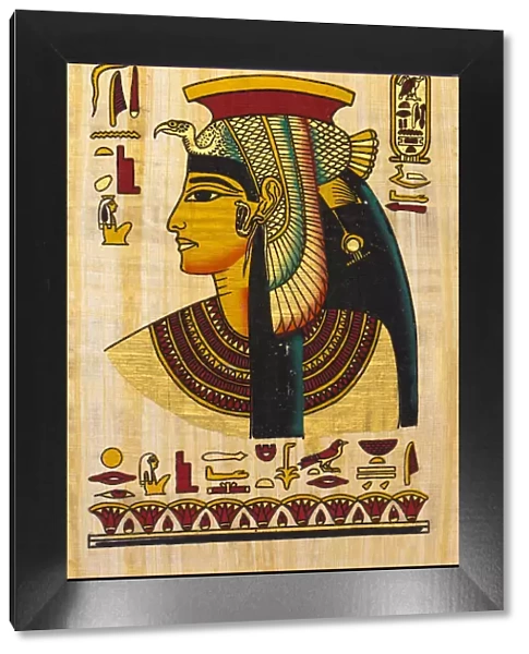 Nefertiti. Queen Nefertiti - Egyptian antique apyrus with elements of egyptian