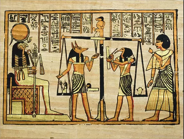 Papyrus. Egyptian PapayrusMore of my photos