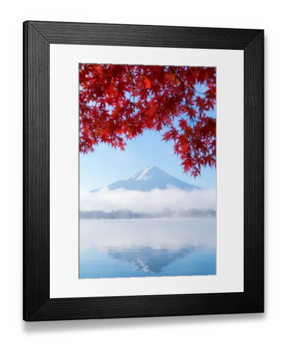 Framed Print : Mt Fuji in Iconic autumn view at morning from Lake Kawaguchiko, Fujikawaguchiko, Yamanashi, Japan Framed Print : Mt Fuji in Iconic autumn view at morning from Lake Kawaguchiko, Fujikawaguchiko, Yamanashi, Japan