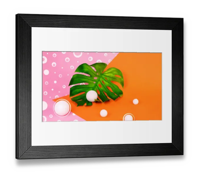 Framed Print : Monstera leaf on orange and pink background Framed Print : Monstera leaf on orange and pink background