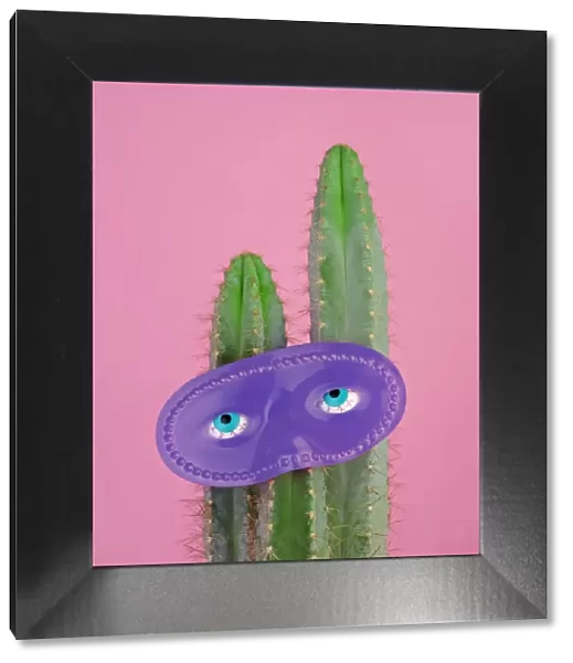 Purple Mask on Blue Cactus