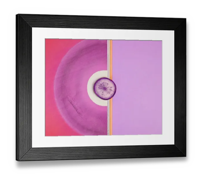Framed Print : Purple daikon radish with abstract background Framed Print : Purple daikon radish with abstract background