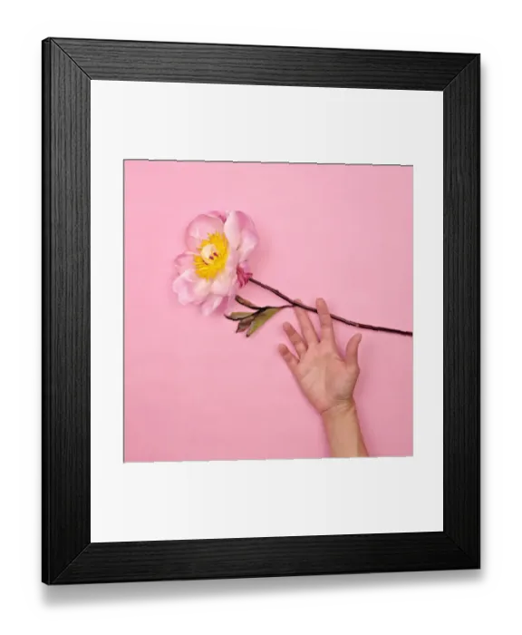 Framed Print : Womans hand with pink peony Framed Print : Womans hand with pink peony