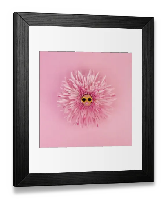 Framed Print : Flower head Framed Print : Flower head