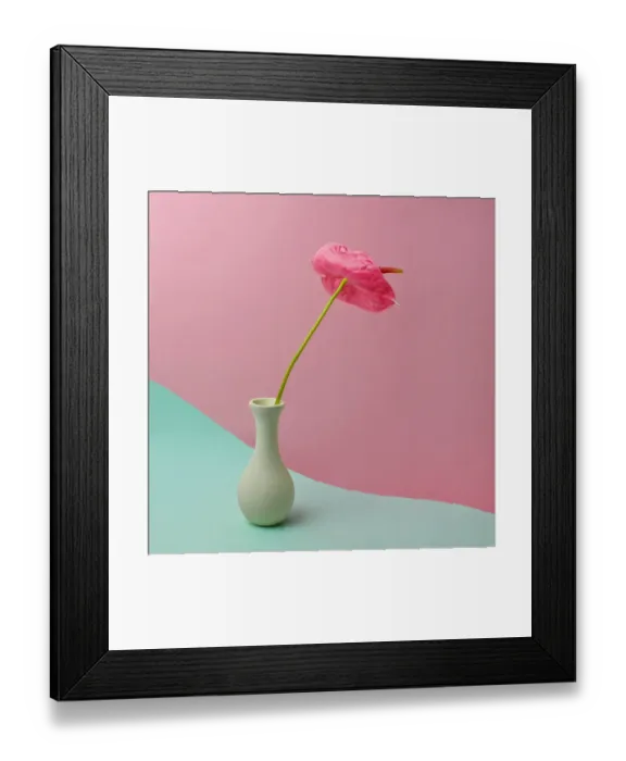 Framed Print : red anthurium in white vase Framed Print : red anthurium in white vase