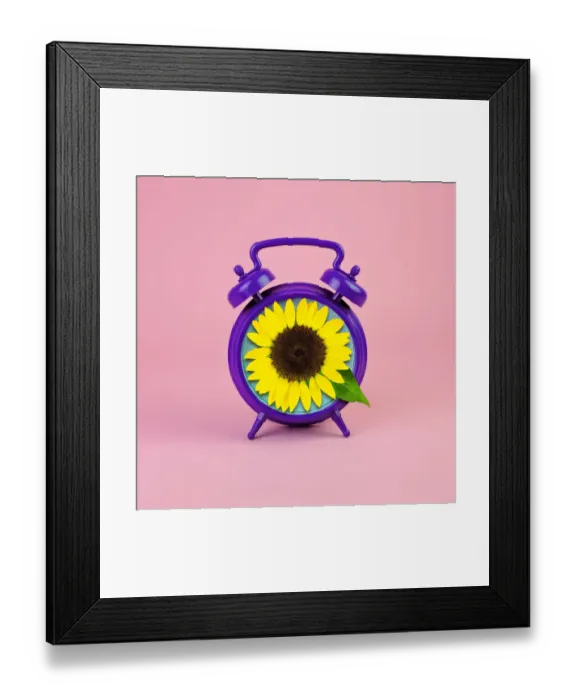 Framed Print : Purple alarm clock with sunflower face Framed Print : Purple alarm clock with sunflower face