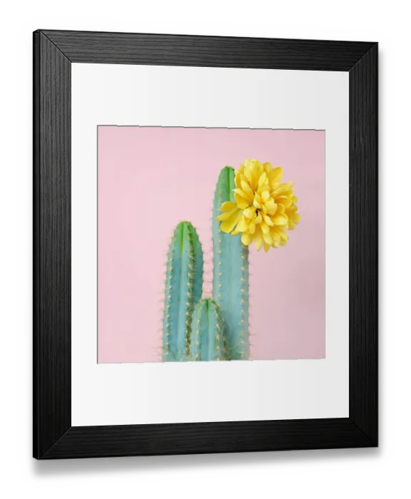 Framed Print : Blue cacti with yellow flower Framed Print : Blue cacti with yellow flower
