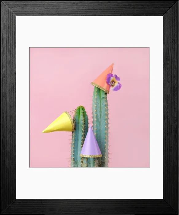Framed Print : Cacti with paper party hats Framed Print : Cacti with paper party hats