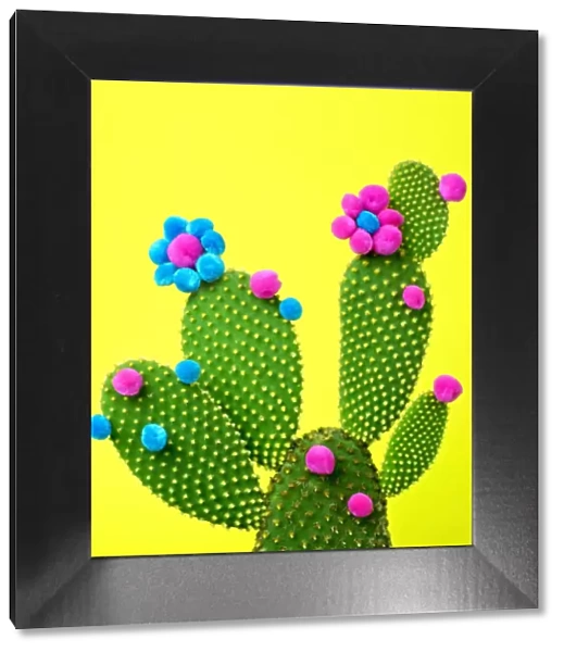 Cactus with flowers made from puffballs