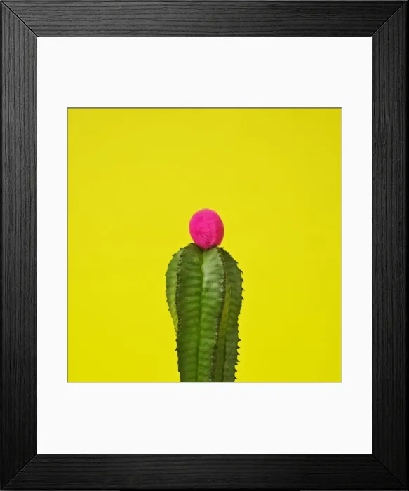 Framed Print : Cactus decorated with puffballs Framed Print : Cactus decorated with puffballs
