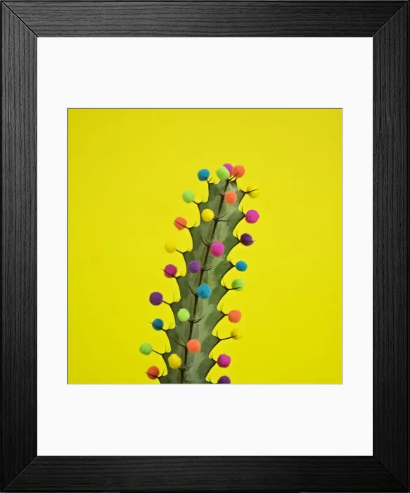 Framed Print : Cactus decorated with puffballs Framed Print : Cactus decorated with puffballs