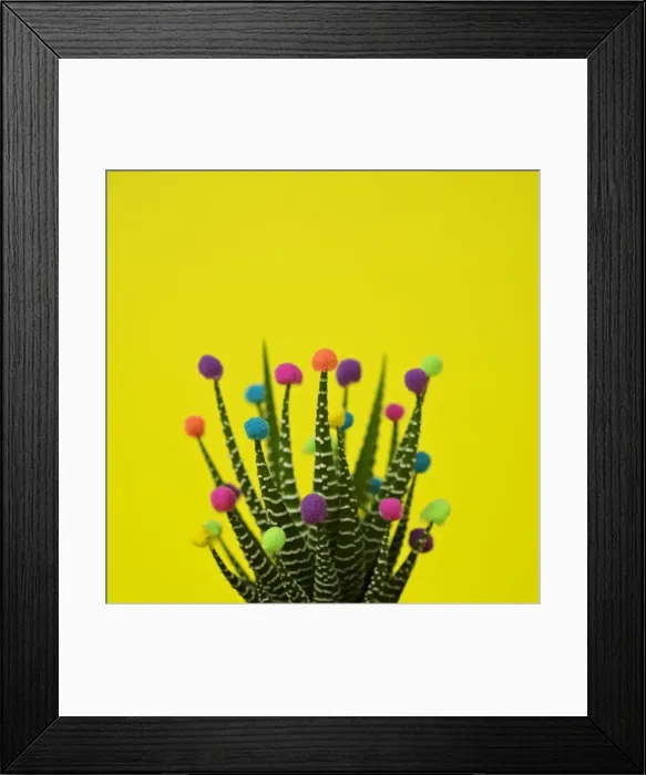 Framed Print : Cactus decorated with puffballs Framed Print : Cactus decorated with puffballs