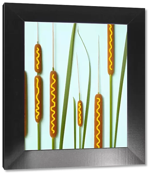 Cattails decorated with mustard to look like corn dogs