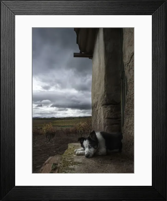 Framed Print : El guardian Framed Print : El guardian
