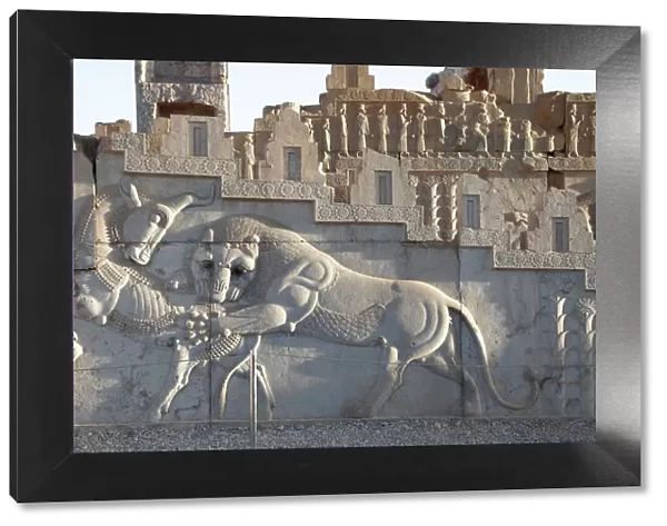 Zoroastrian bas relief depicting a lion hunting a bull, Persepolis, Iran