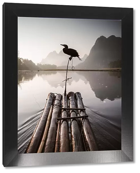 Bamboo raft with cormorant, Li river, China