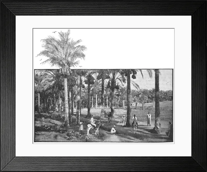 Framed Print : Group of People at Memphis, Egypt - Ottoman Empire Framed Print : Group of People at Memphis, Egypt - Ottoman Empire