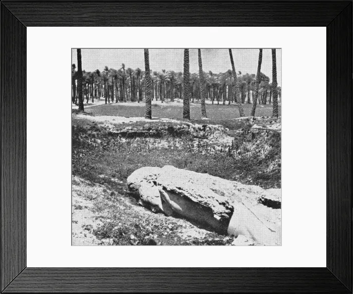Framed Print : Statue of Rameses II at Memphis, Egypt - Ottoman Empire Framed Print : Statue of Rameses II at Memphis, Egypt - Ottoman Empire