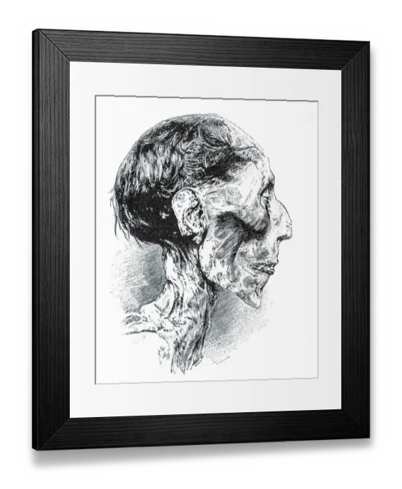 Framed Print : Mummy of Rameses in Egypt in 1895 Framed Print : Mummy of Rameses in Egypt in 1895