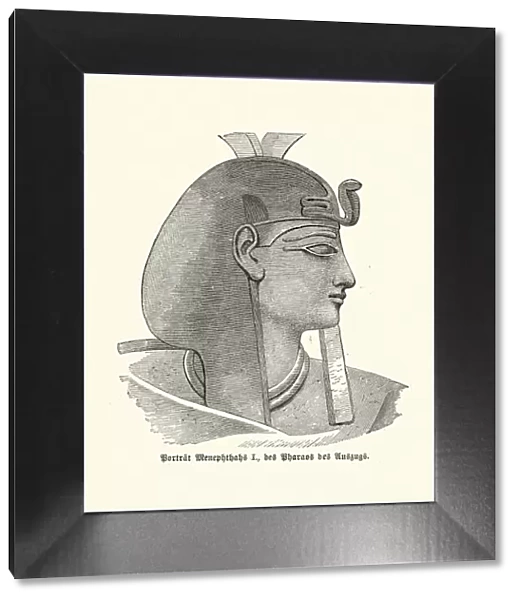 Ancient Egyptian Pharaoh Merneptah